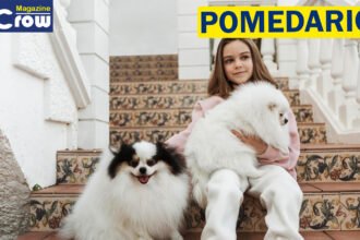 Pomedario
