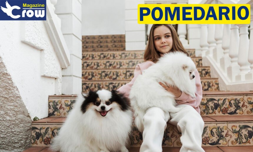 Pomedario