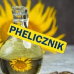 Phelicznik