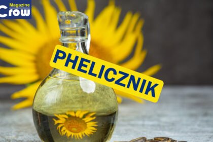 Phelicznik